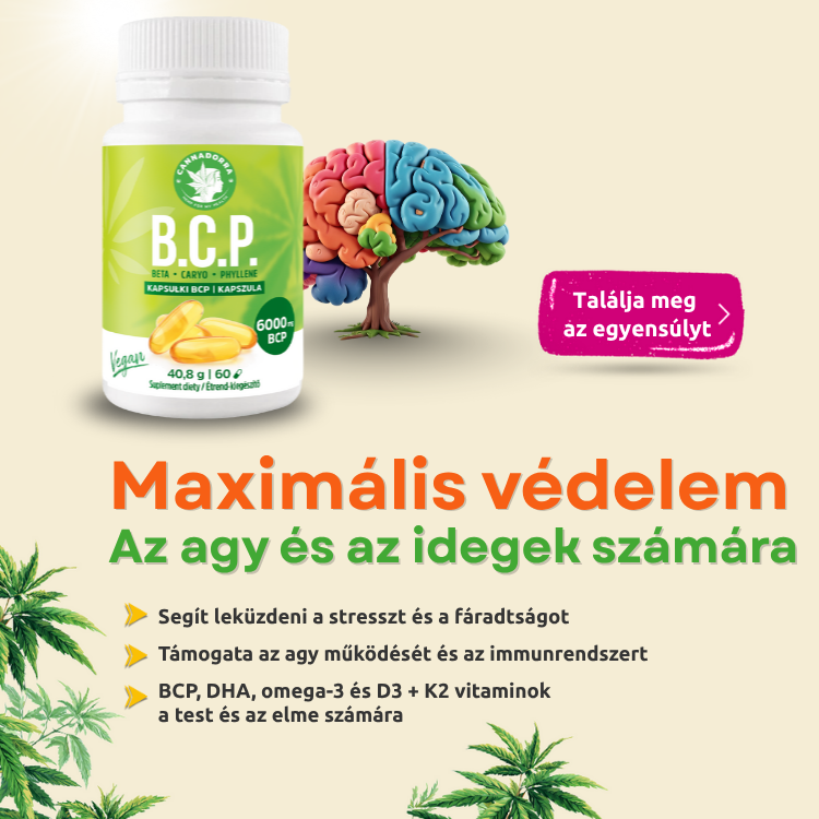 BCP banner – mobil